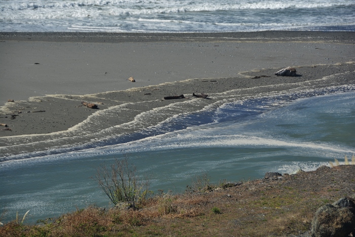 the southern coastline